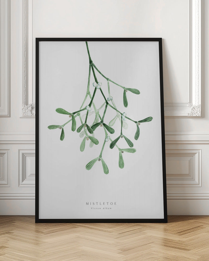 Watercolor mistletoe - Poster / Art Print