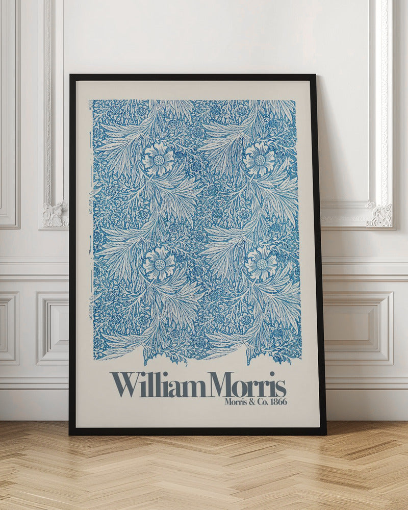 Marigold - Poster / Art Print