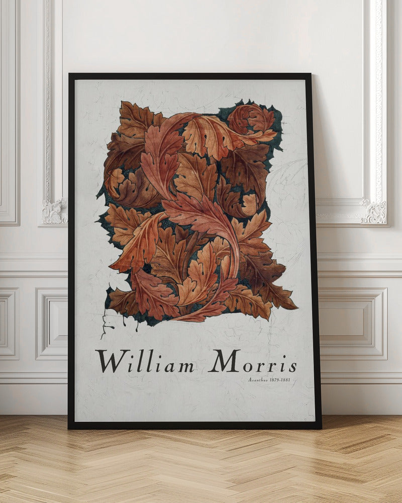 Acanthus - Poster / Art Print