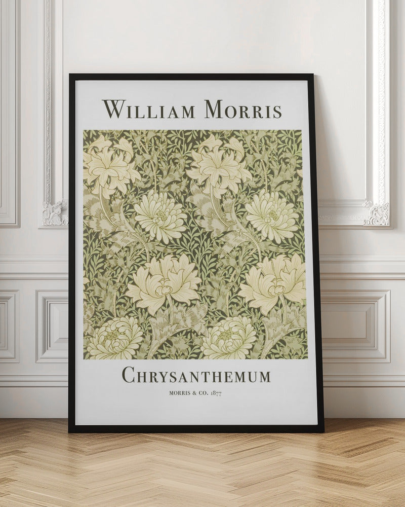Chrysanthemum - Poster / Art Print