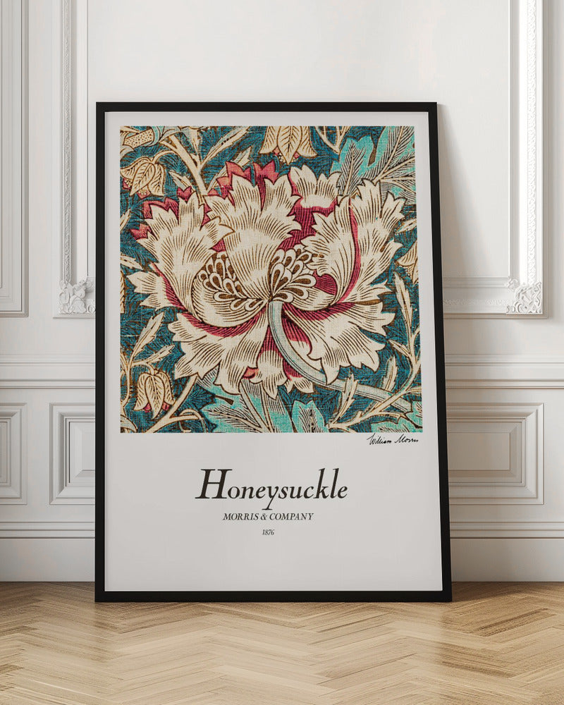 Honeysuckle - Poster / Art Print