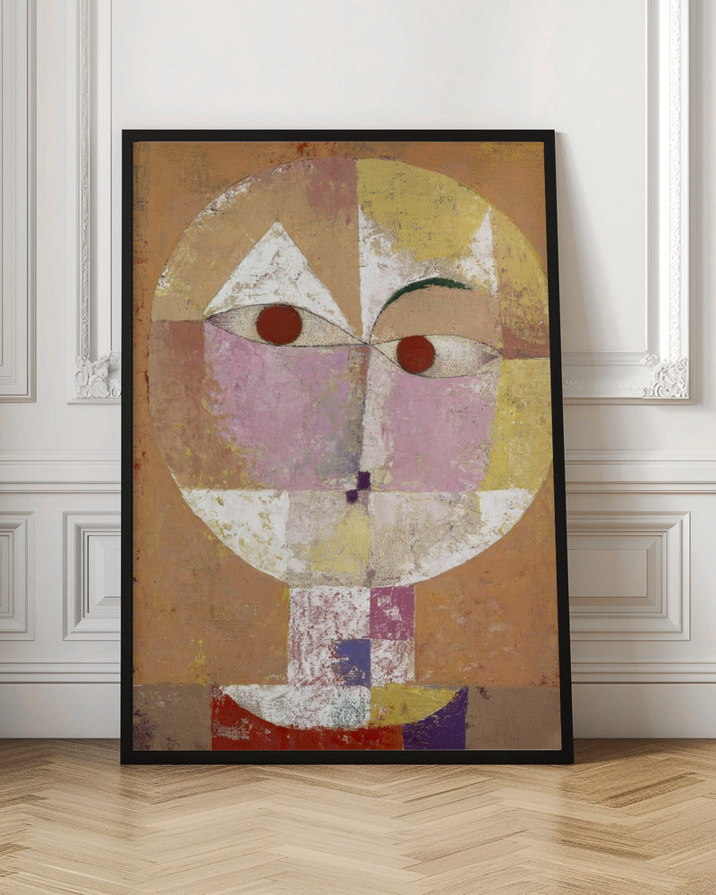 Senecio Baldgreis 1922 - Poster / Art Print