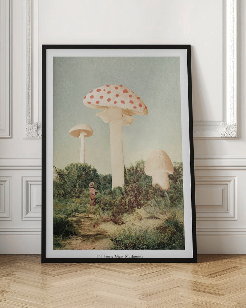 The Finest Giant Mushroom - Poster / Art Print