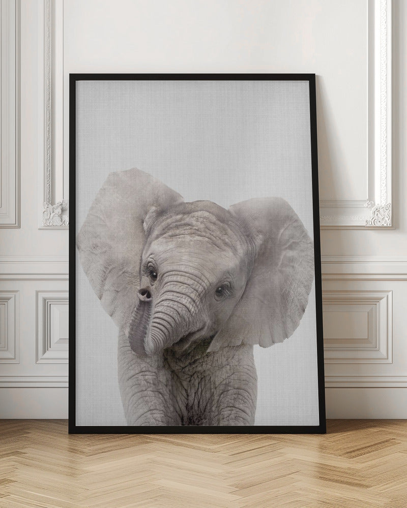 Peekaboo Baby Elephant - Poster / Art Print