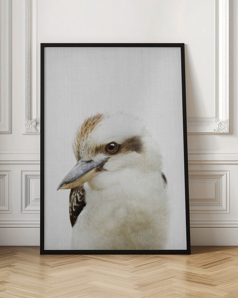 Peekaboo Kookaburra - Poster / Art Print