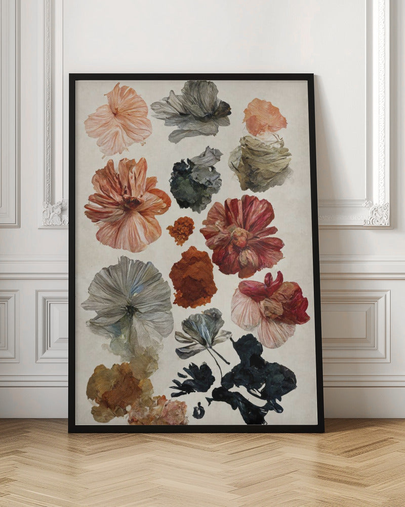 Dry Flower Collection - Poster / Art Print