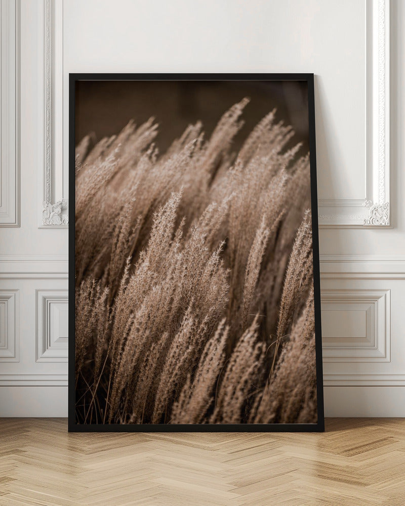 Grass 16 - Poster / Art Print