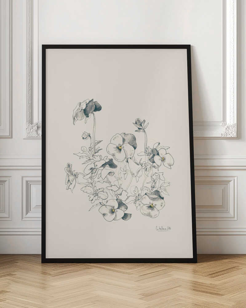 Pansies pencil drawing - Poster / Art Print