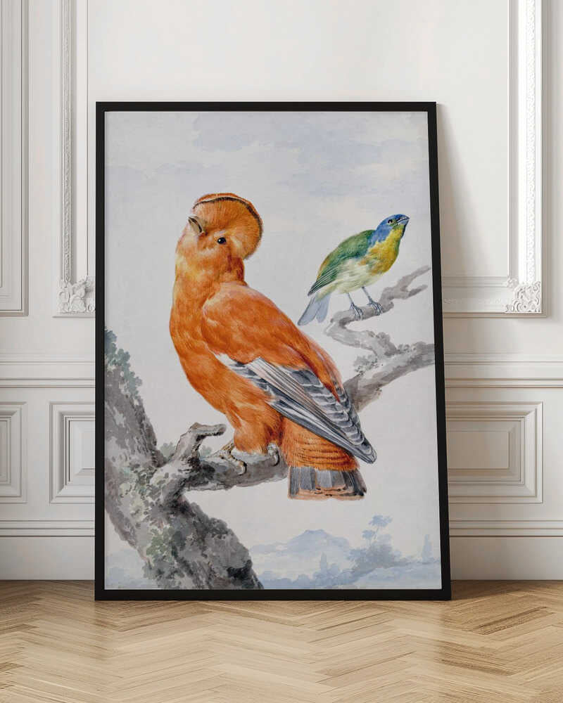 Two Exotic Birds - Poster / Art Print