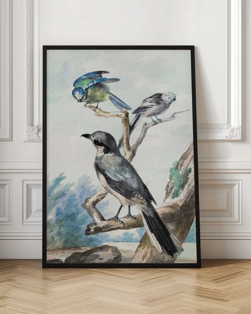 Three Birds - Poster / Art Print