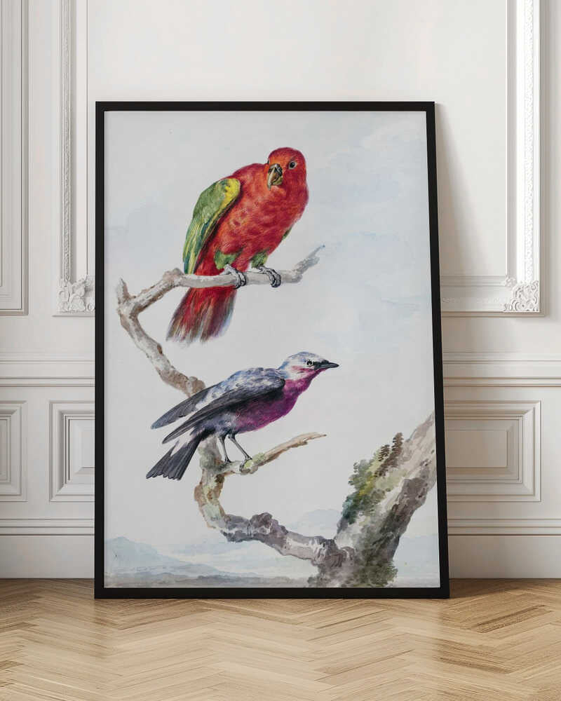 Two Birds, Including a Red Green Parrot - Poster / Art Print