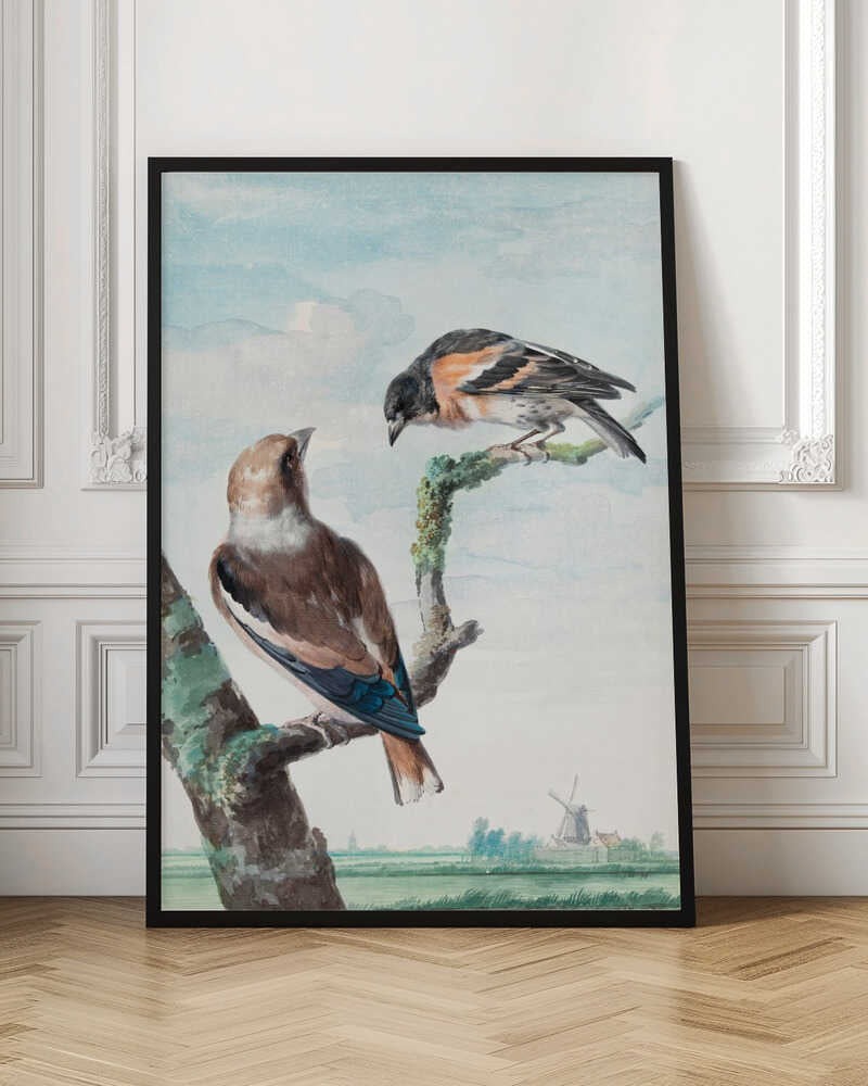 Two Birds  Hawfinch - Poster / Art Print