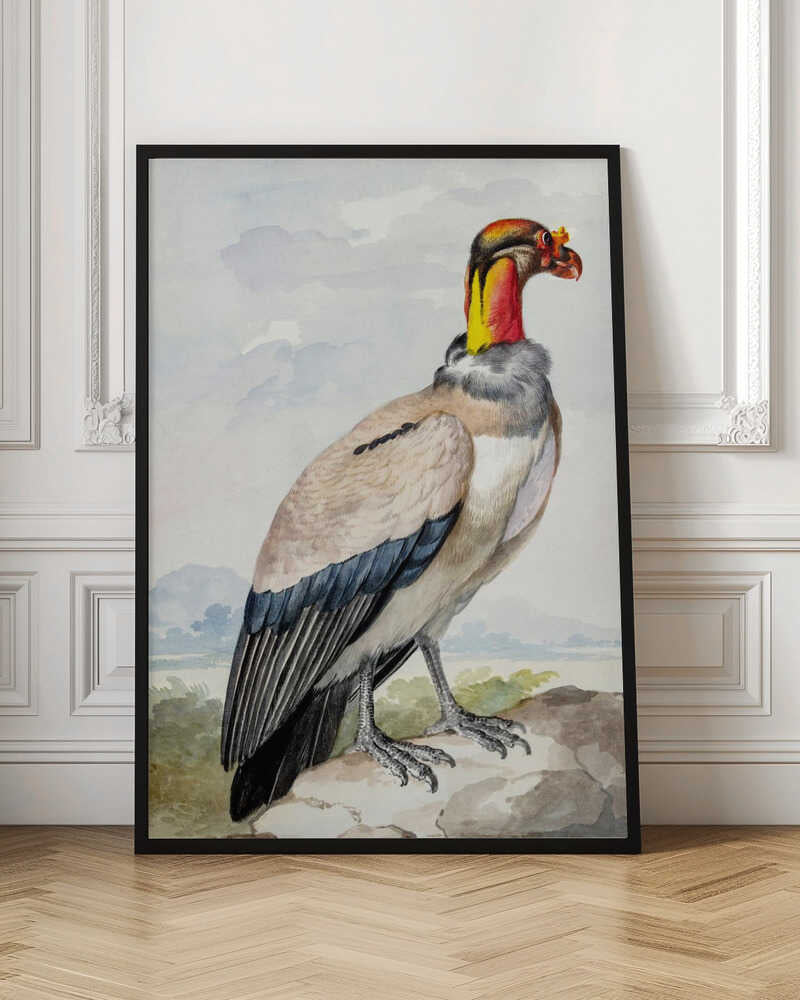 Stone Curlew - Poster / Art Print