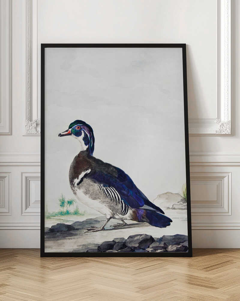 A Duck - Poster / Art Print