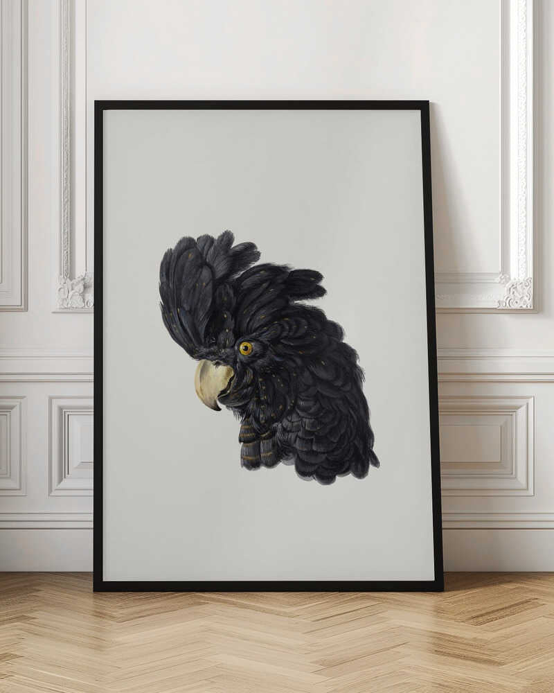 Head of a Cockatoo - Poster / Art Print