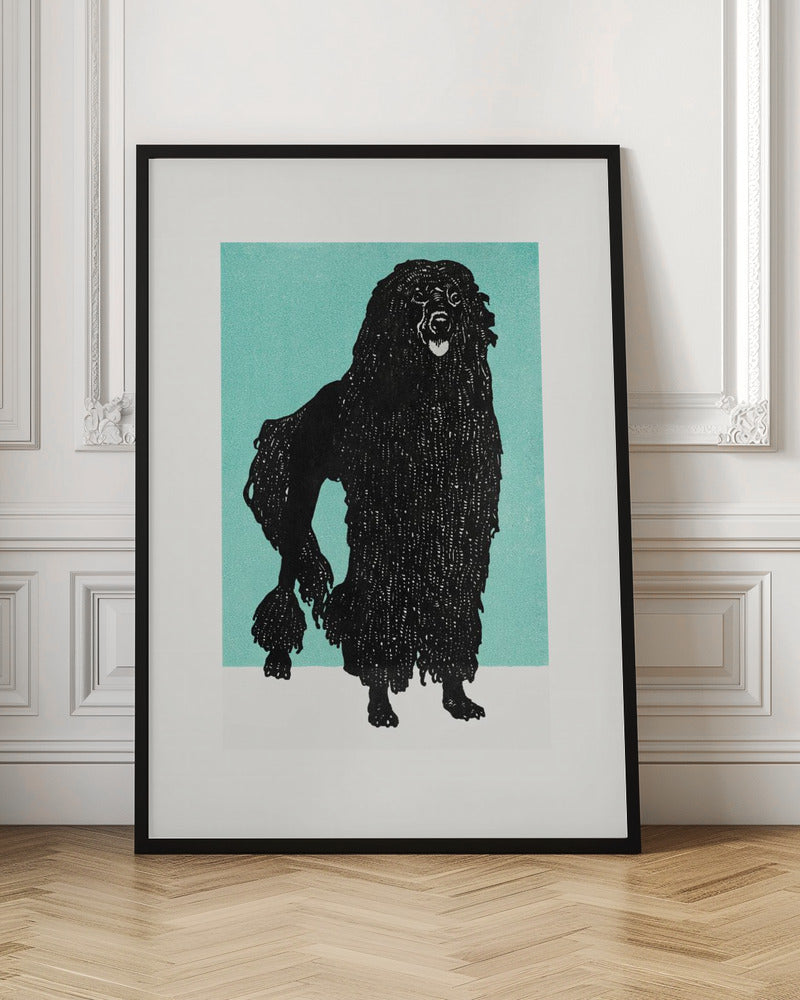 Poodle - Poster / Art Print