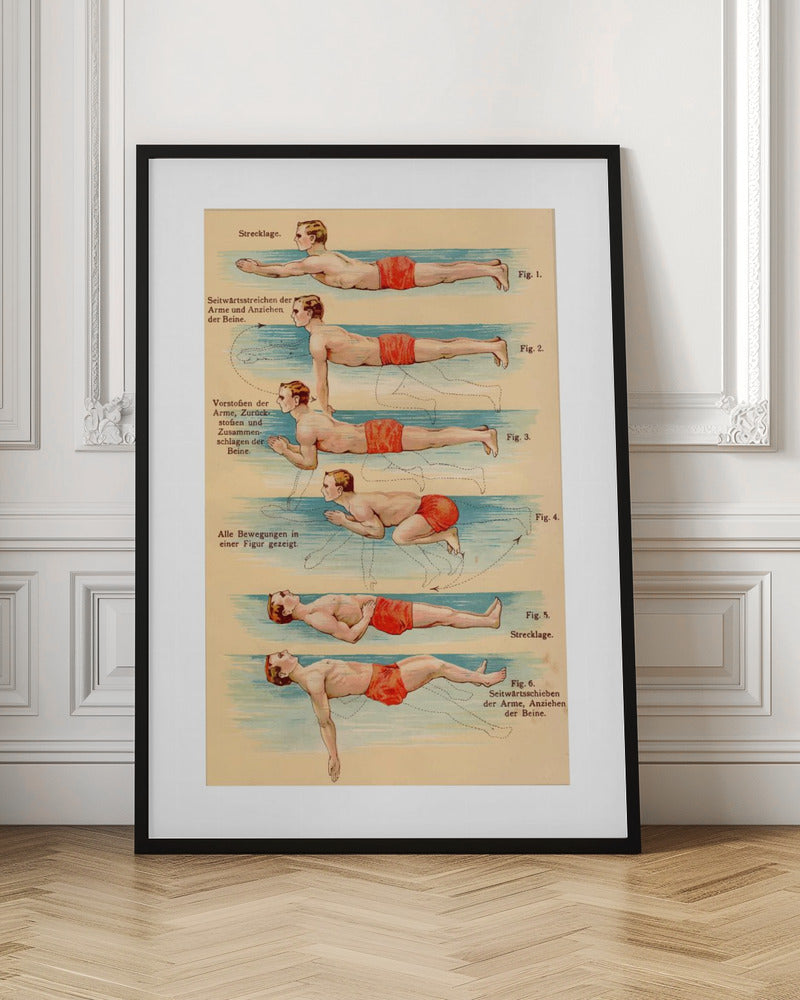 Swim - Poster / Art Print