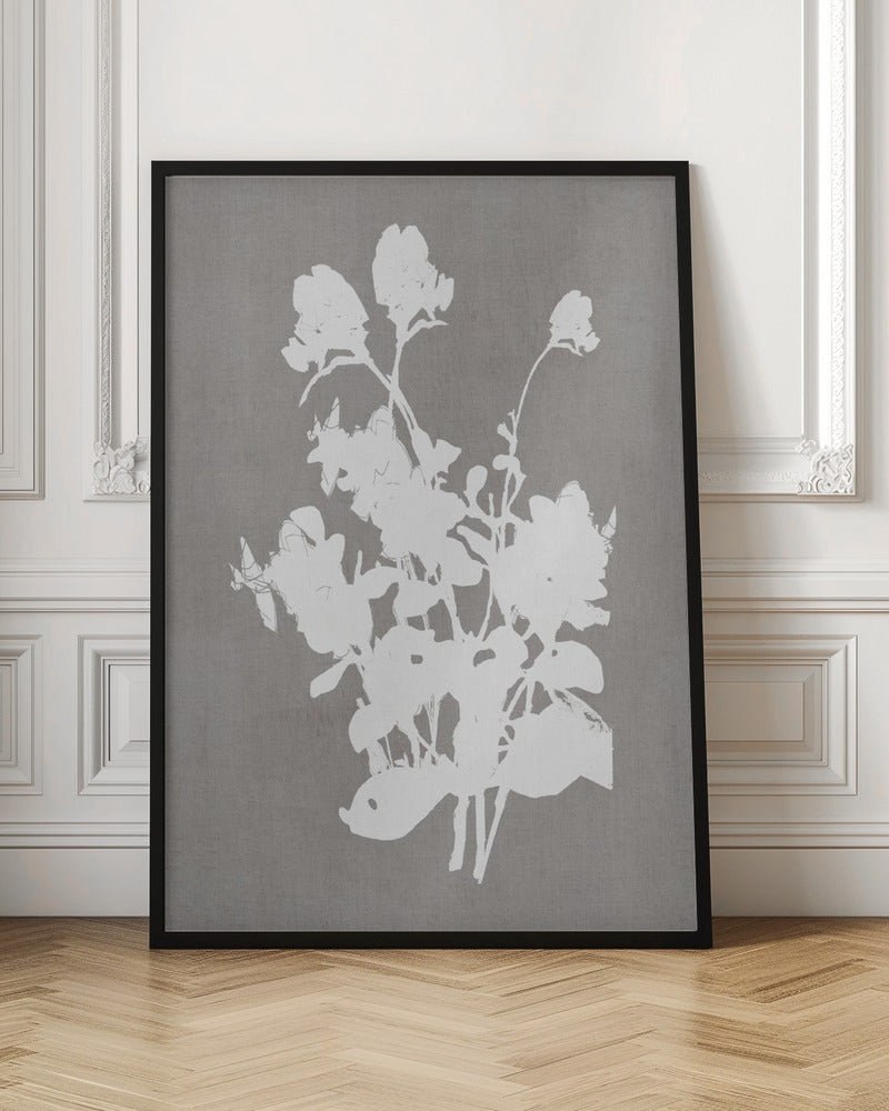 Botanical Illustration 3 - Poster / Art Print