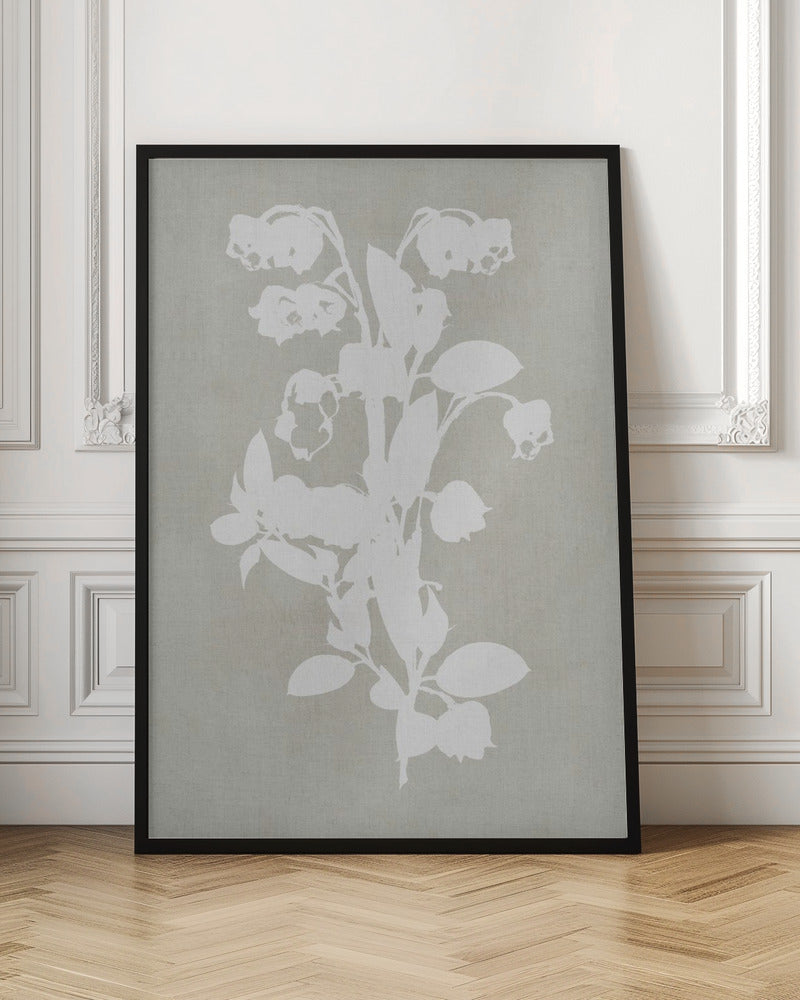 Botanical Illustration 4 - Poster / Art Print