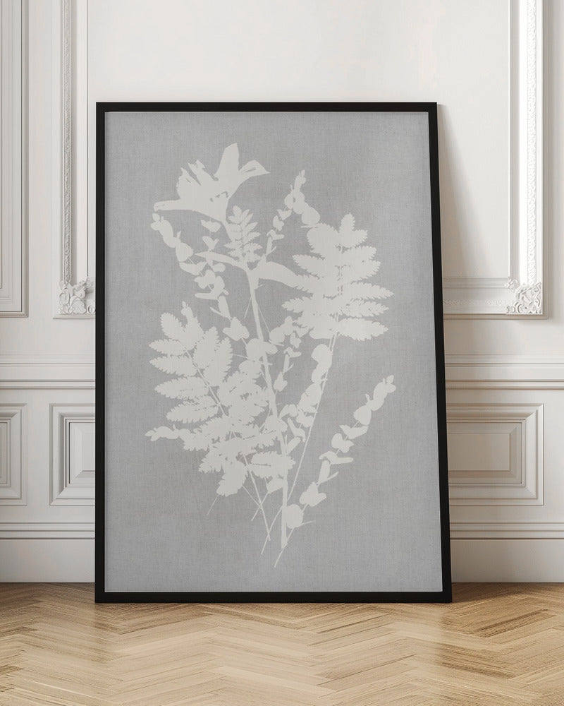 Botanical Illustration 5 - Poster / Art Print