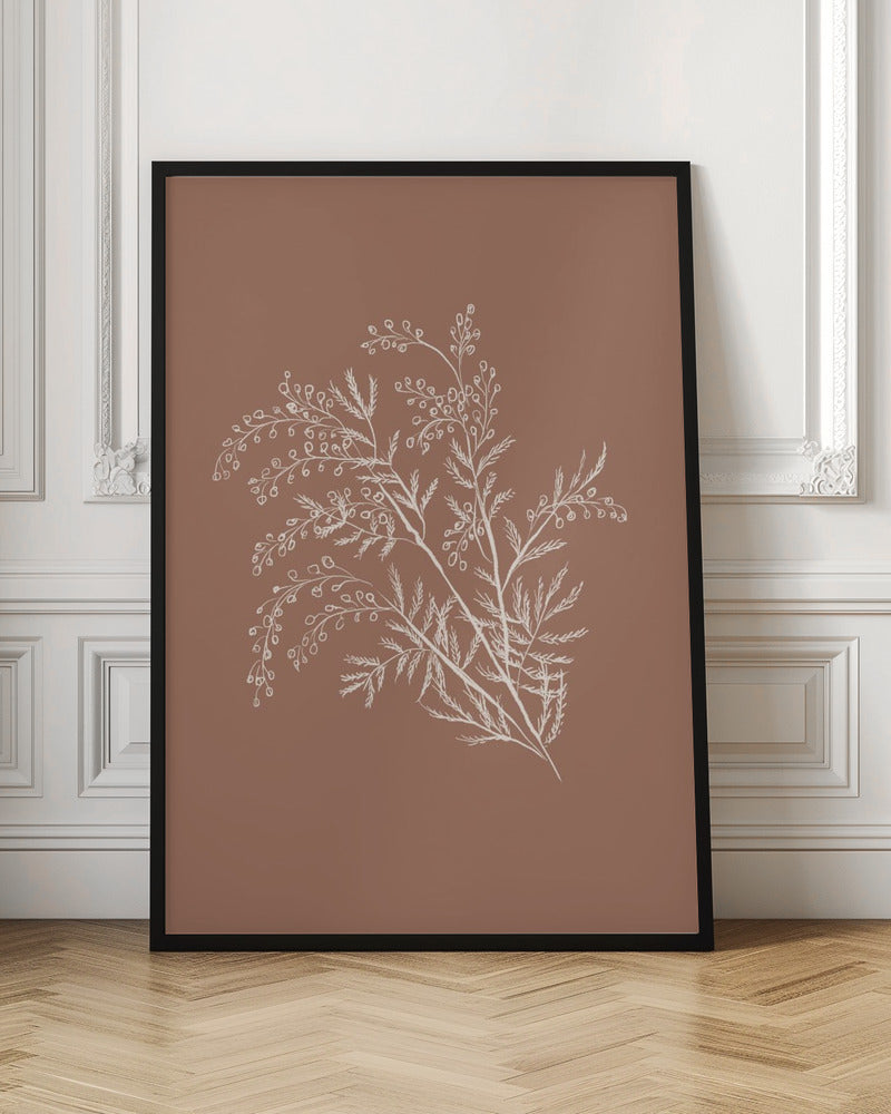 Acacia Botanical Branch - Poster / Art Print