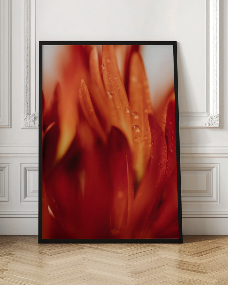 Red Flowers 03 - Poster / Art Print