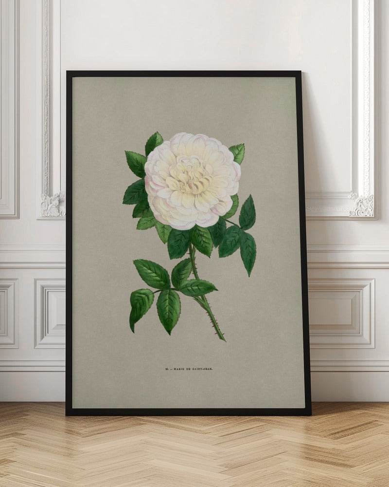 Rose Marie De Saint Jean - Poster / Art Print