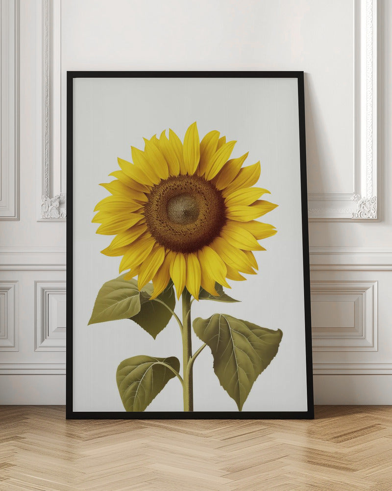 Sunflower Still - Poster / Art Print
