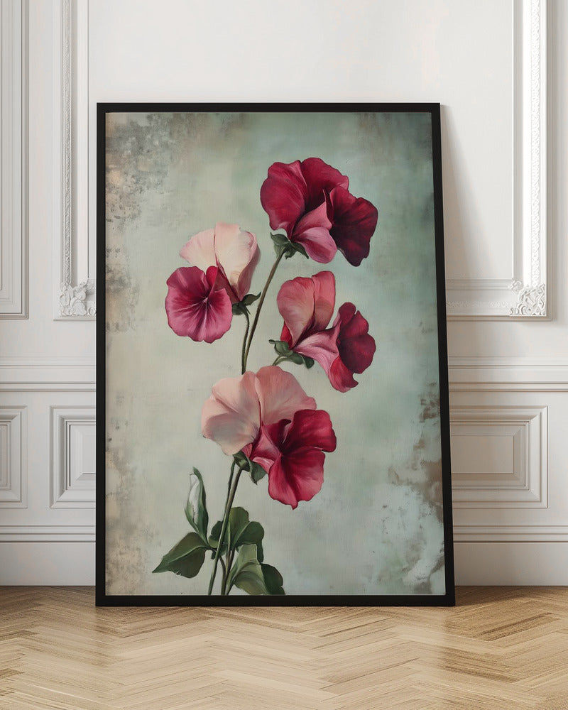Sweet Pea - Poster / Art Print