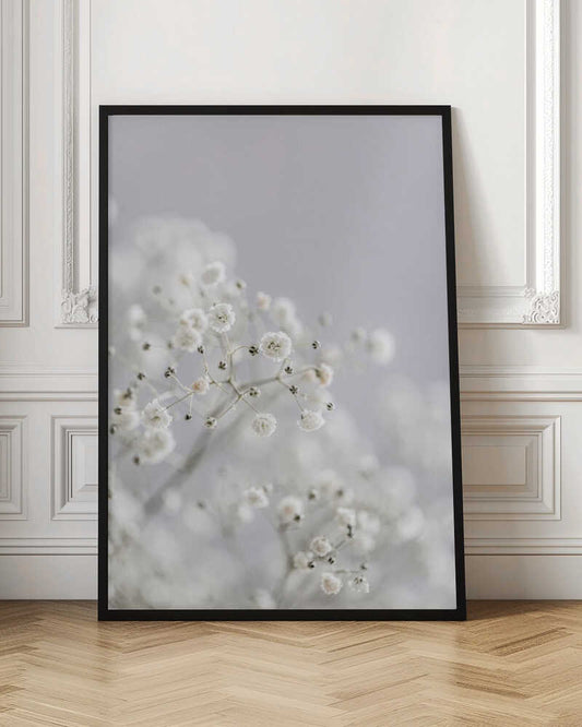 White Breath Flowers - Poster / Art Print