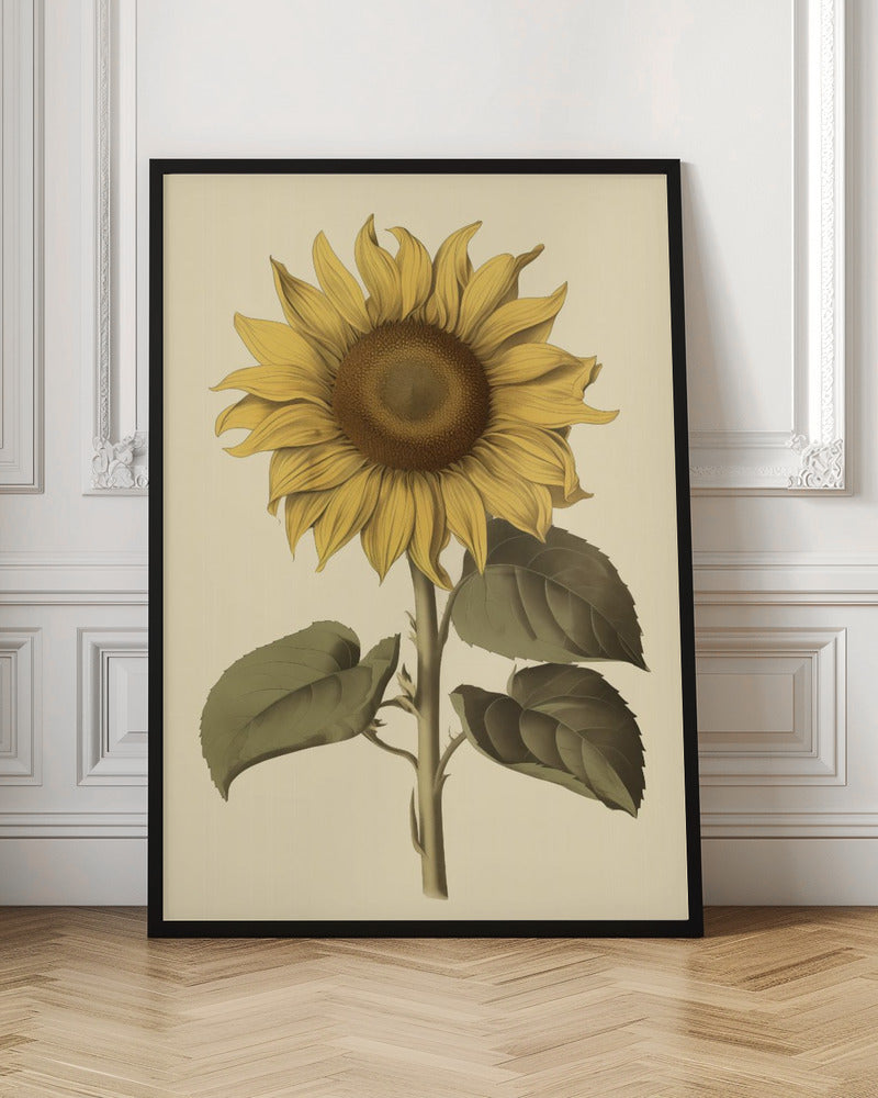 Vintage Sunflower - Poster / Art Print
