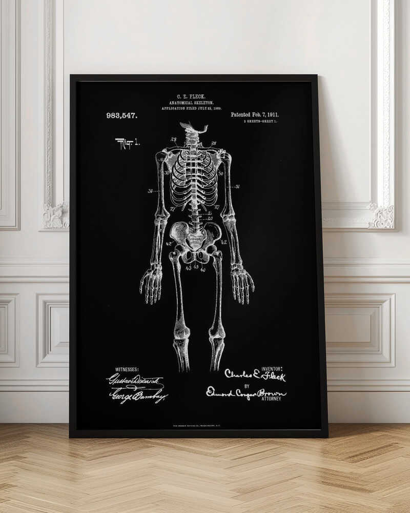 Anatomical Skeleton Patent 1911 - Poster / Art Print