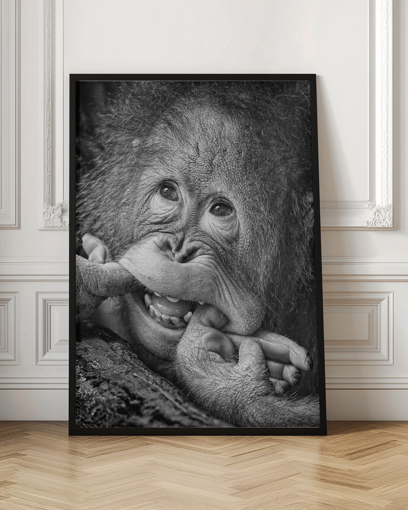 Big Smile.....please - Poster / Art Print