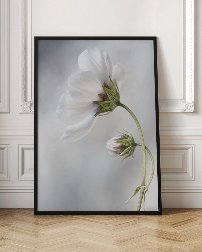Heavenly Cosmos - Poster / Art Print