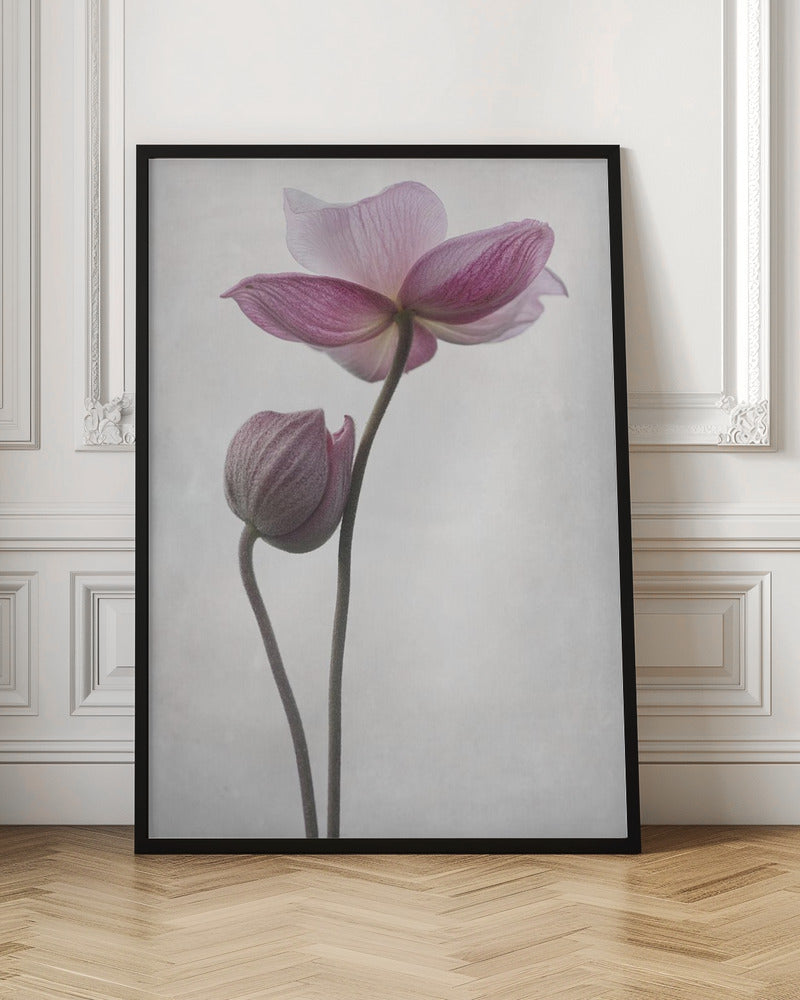 A Little Touch - Poster / Art Print