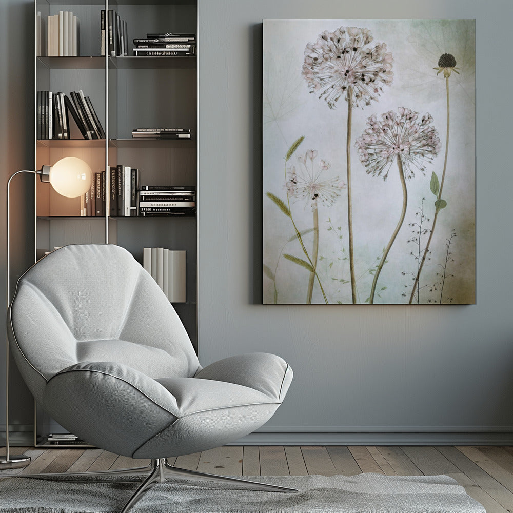 Allium - Poster / Art Print