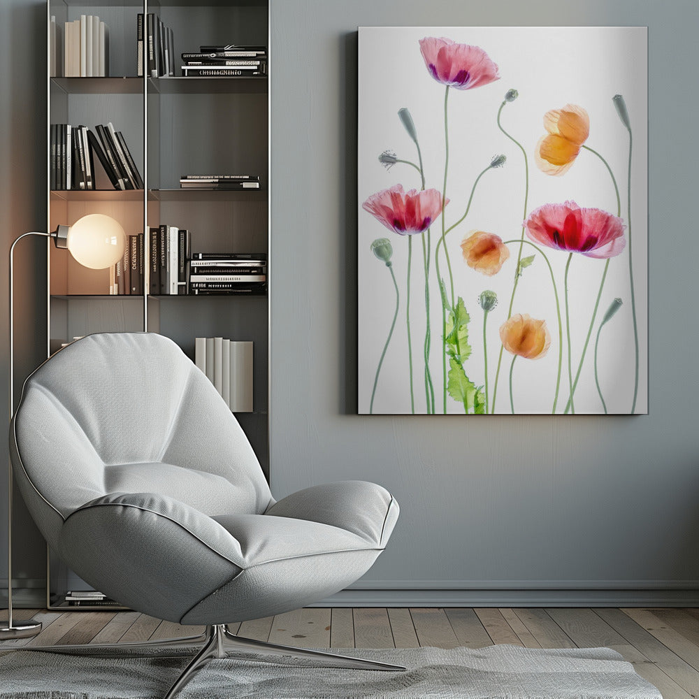 Poppies - Poster / Art Print