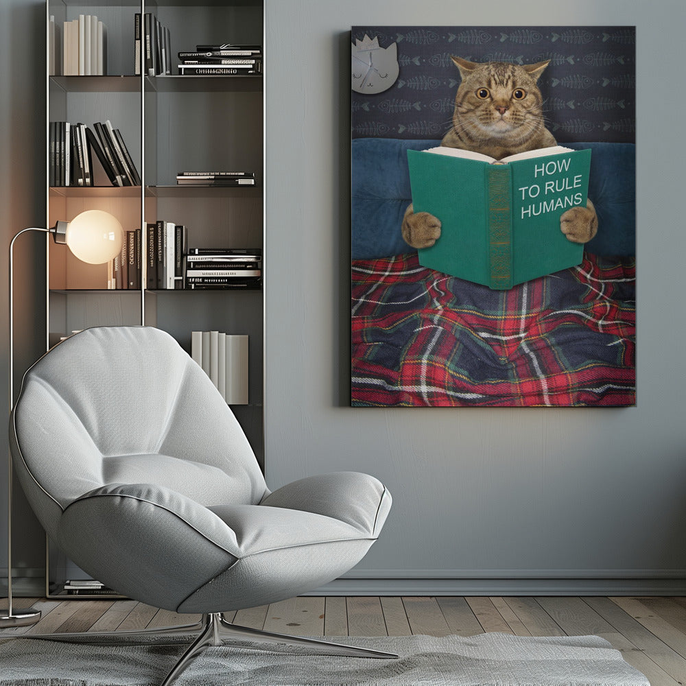 Very valuable advice ... - Poster / Art Print