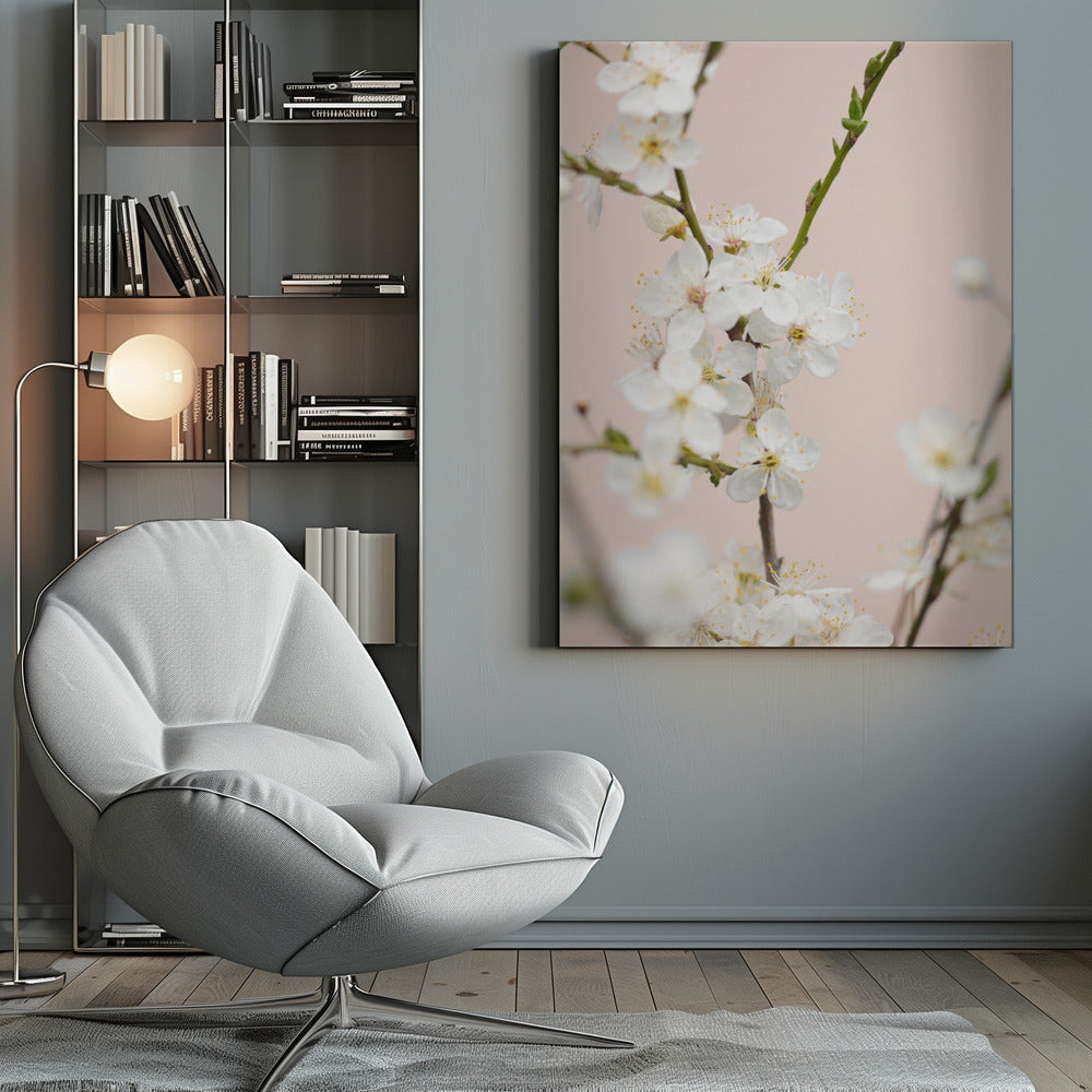 Cherry tree flowers - Poster / Art Print