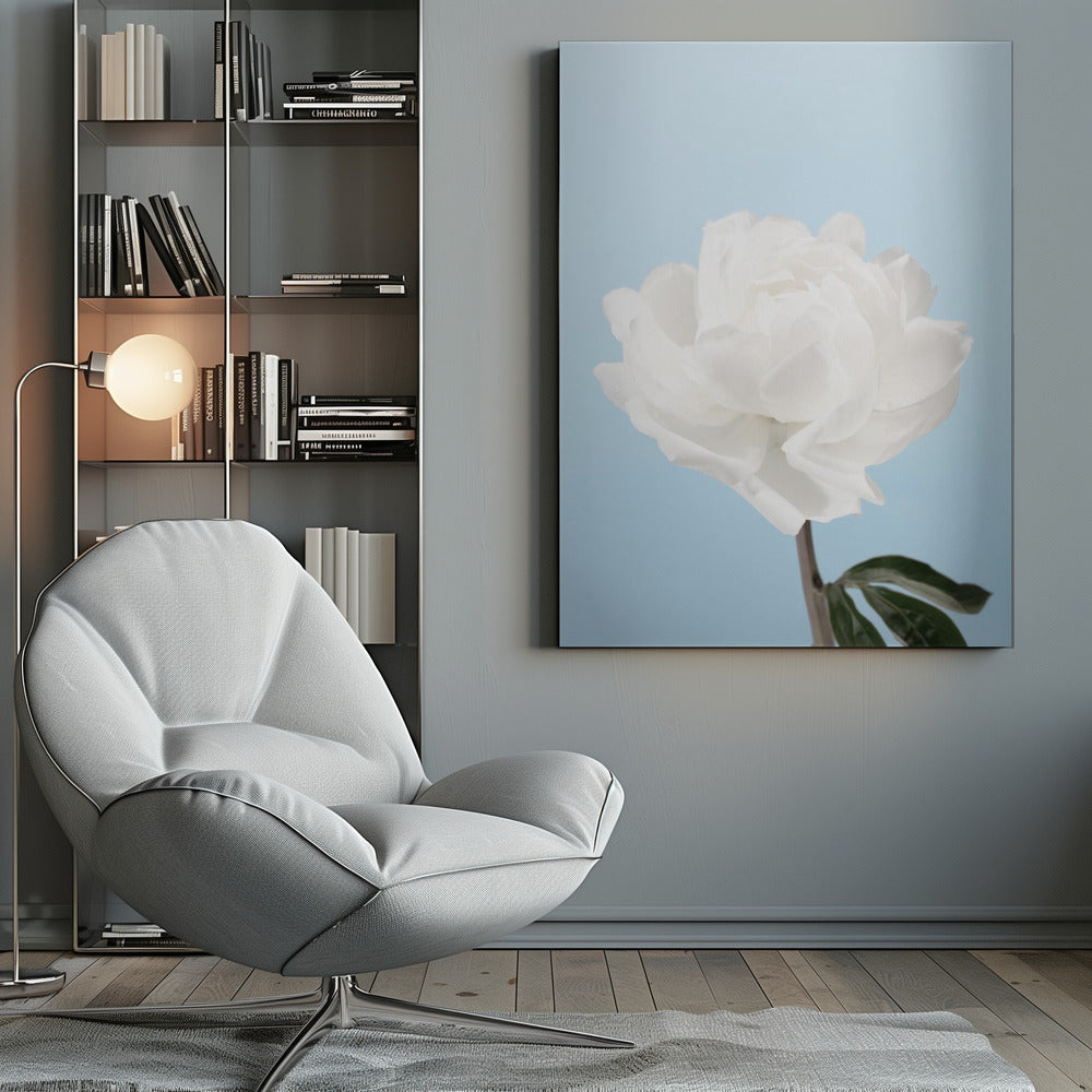 Peony - Poster / Art Print
