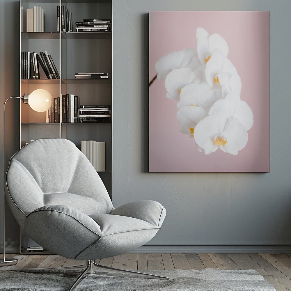 Orchid_2 - Poster / Art Print