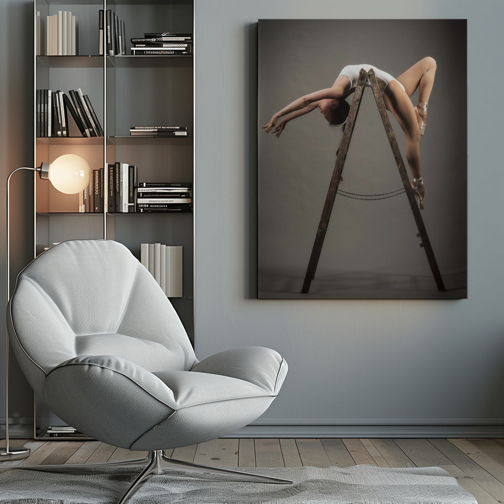 how to use a ladder - Poster / Art Print