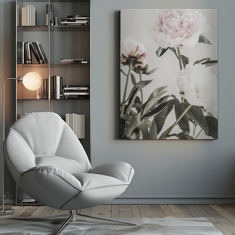 Peony 04 - Poster / Art Print