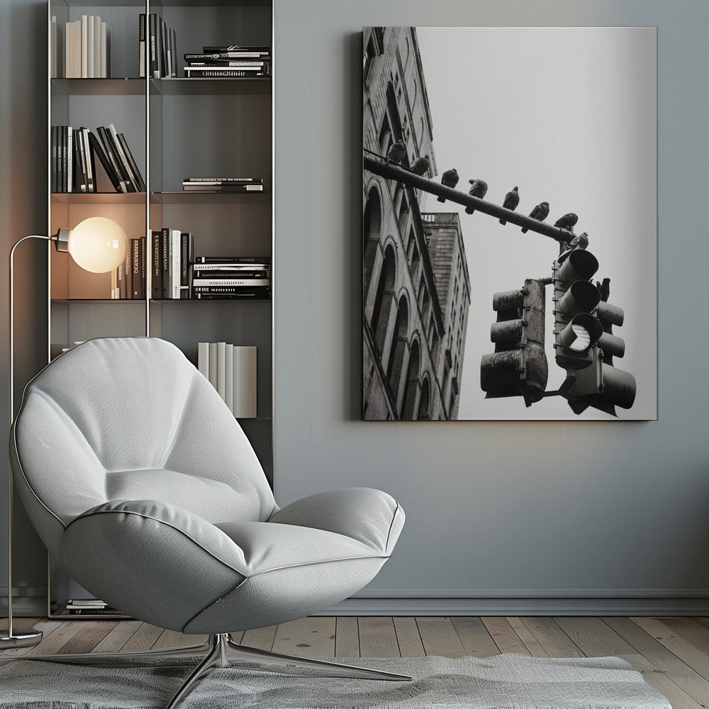 New York City Doves - Poster / Art Print