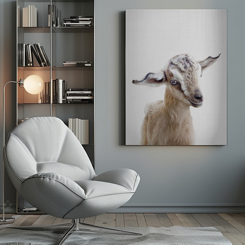Peekaboo Baby Goat - Poster / Art Print