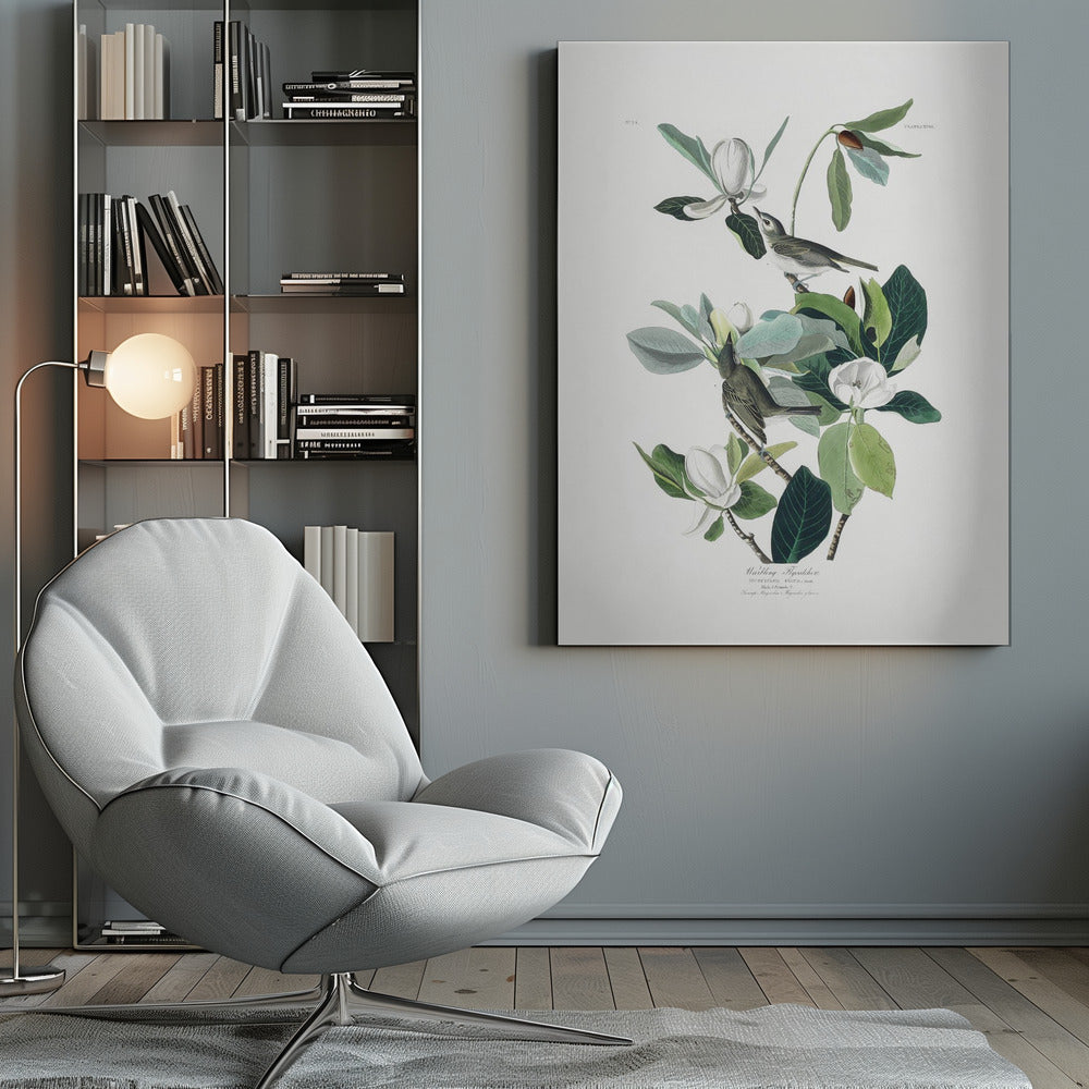 Warbling Flycatcher From Birds of America (1827) - Poster / Art Print