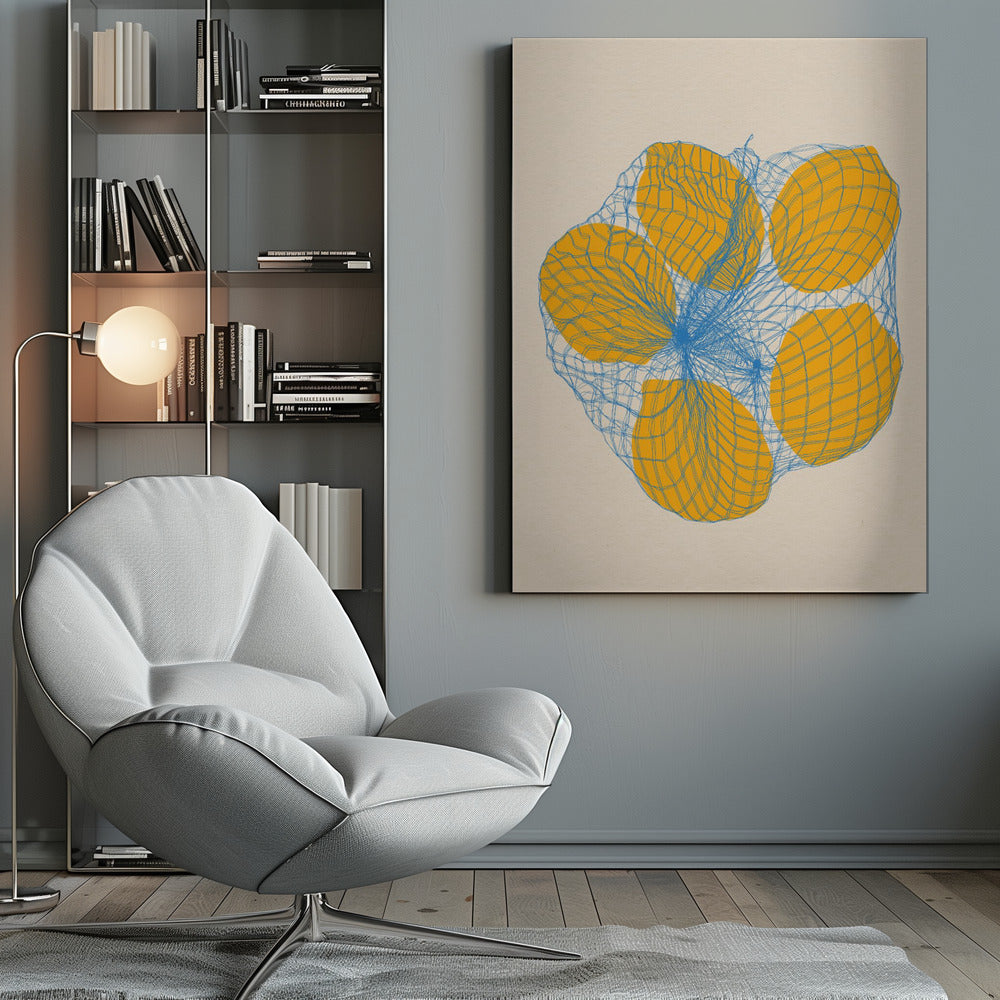 Five Lemons In a Net Bag - Poster / Art Print