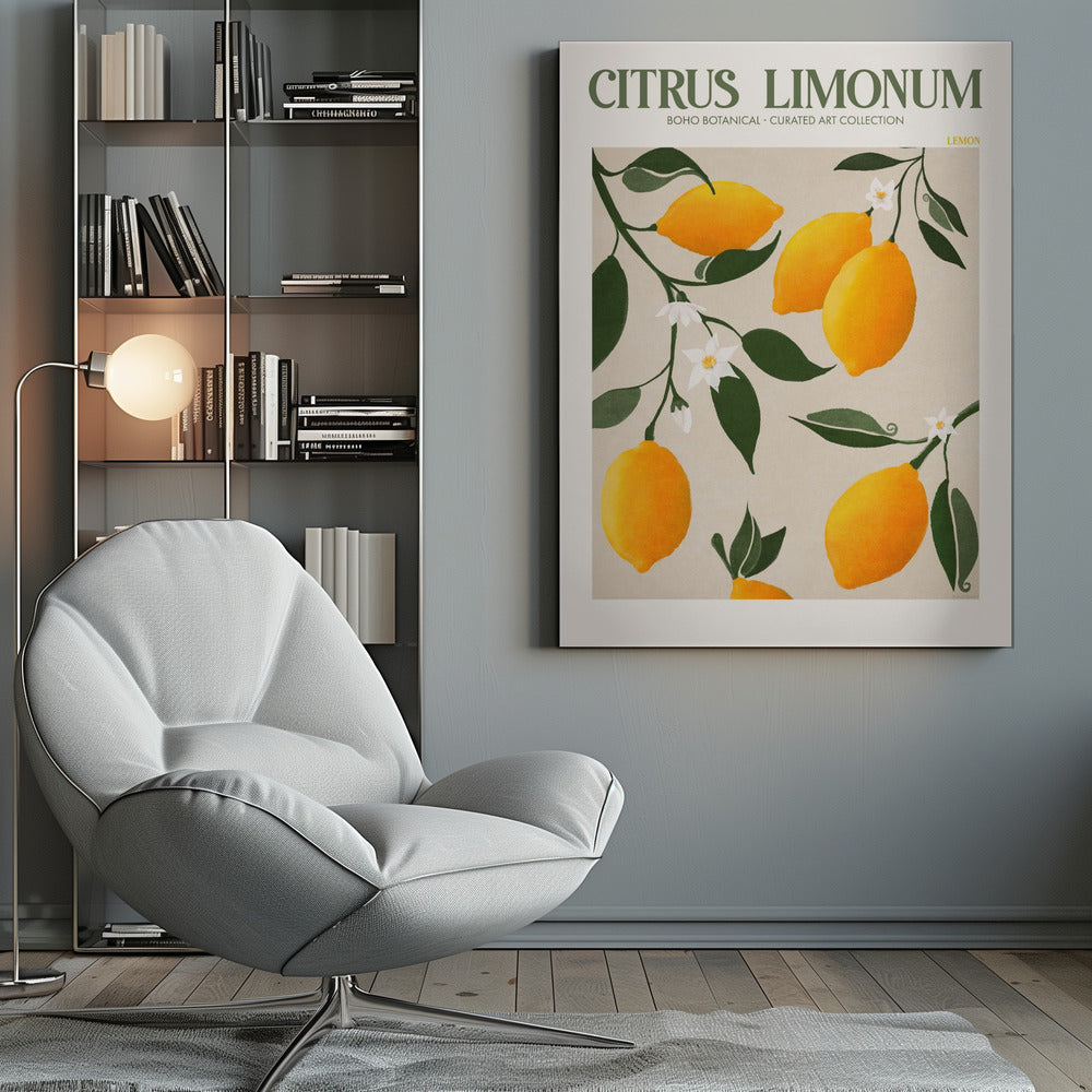 Citrus Limonum - Lemon - Poster / Art Print