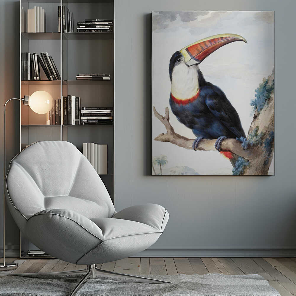 Red Billed Toucan - Poster / Art Print