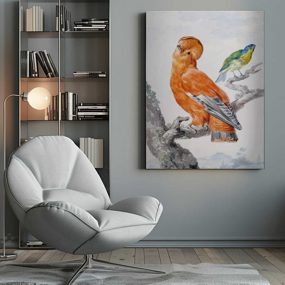 Two Exotic Birds - Poster / Art Print